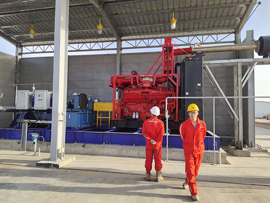 防爆发电机应用案例